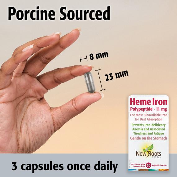 Heme Iron